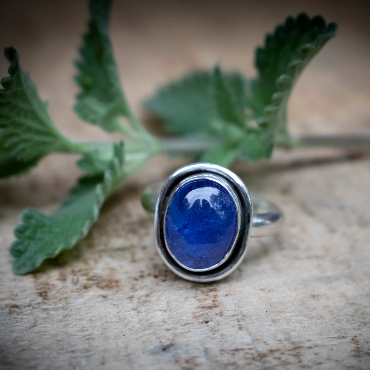 Violet Skies Sterling Silver Tanzanite Ring Size 8-Womens-LittleGreenRoomJewelry-LittleGreenRoomJewelry
