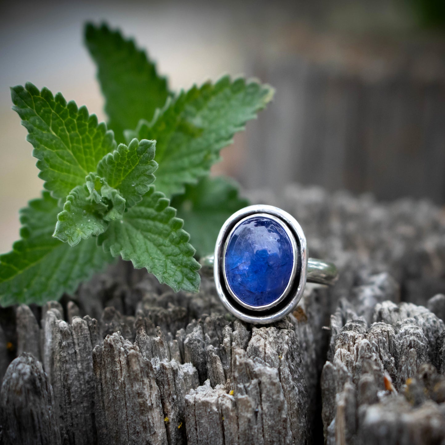 Violet Skies Sterling Silver Tanzanite Ring Size 8-Womens-LittleGreenRoomJewelry-LittleGreenRoomJewelry