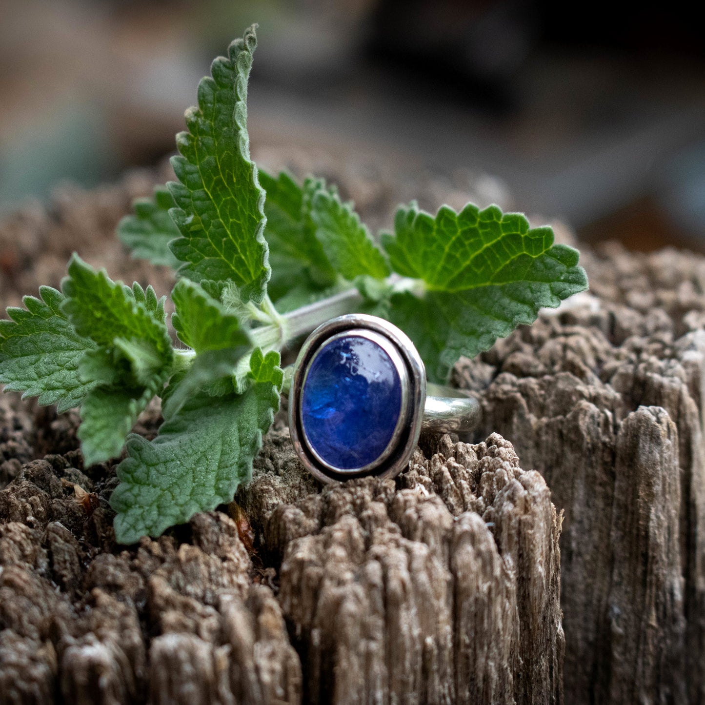 Violet Skies Sterling Silver Tanzanite Ring Size 8-Womens-LittleGreenRoomJewelry-LittleGreenRoomJewelry