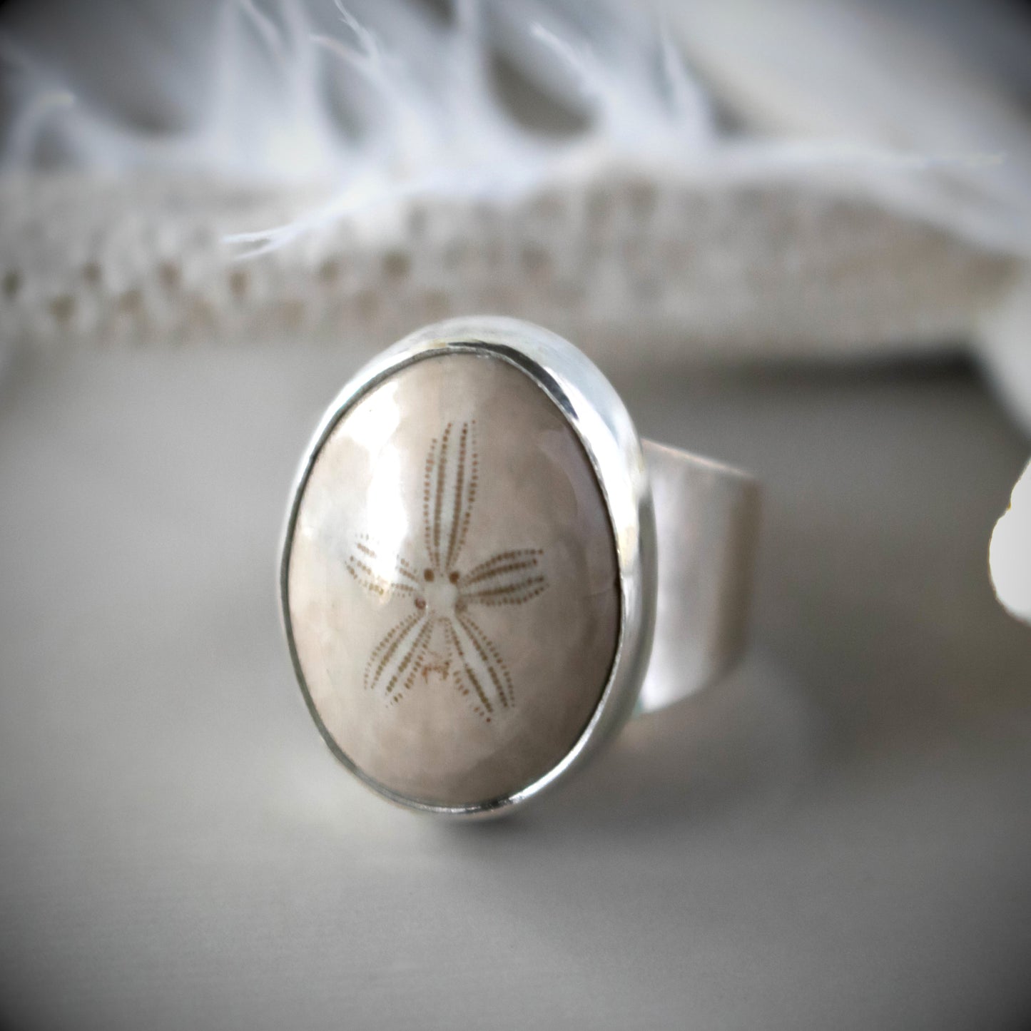 Sterling Silver Fossil Sand Dollar Ring-Womens-LittleGreenRoomJewelry-LittleGreenRoomJewelry