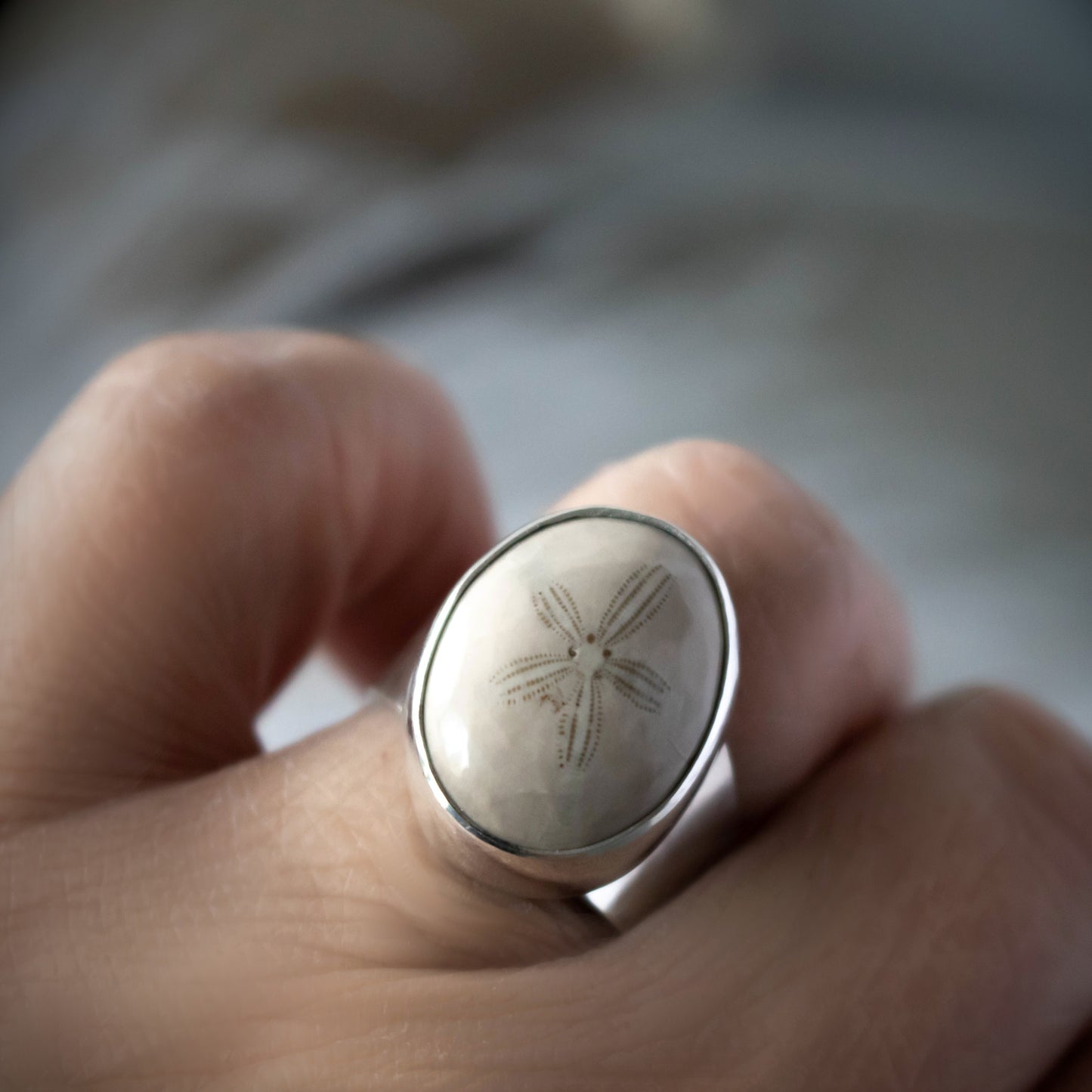 Sterling Silver Fossil Sand Dollar Ring-Womens-LittleGreenRoomJewelry-LittleGreenRoomJewelry