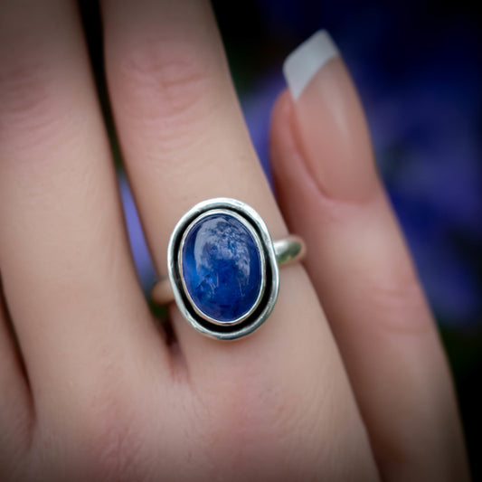 Violet Skies Sterling Silver Tanzanite Ring Size 8-Womens-LittleGreenRoomJewelry-LittleGreenRoomJewelry