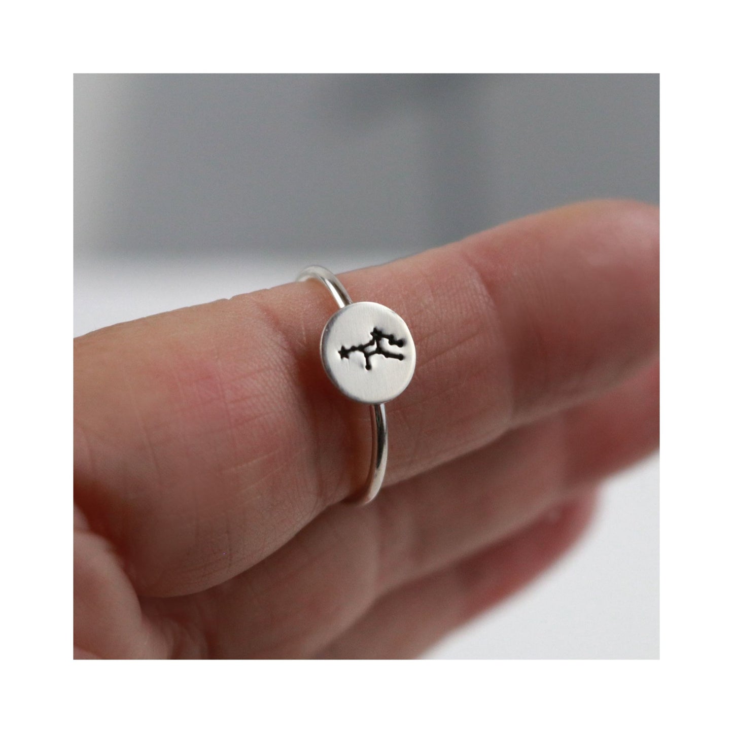 Sterling Zodiac Constellation Stacking Rings-Womens-LittleGreenRoomJewelry-LittleGreenRoomJewelry