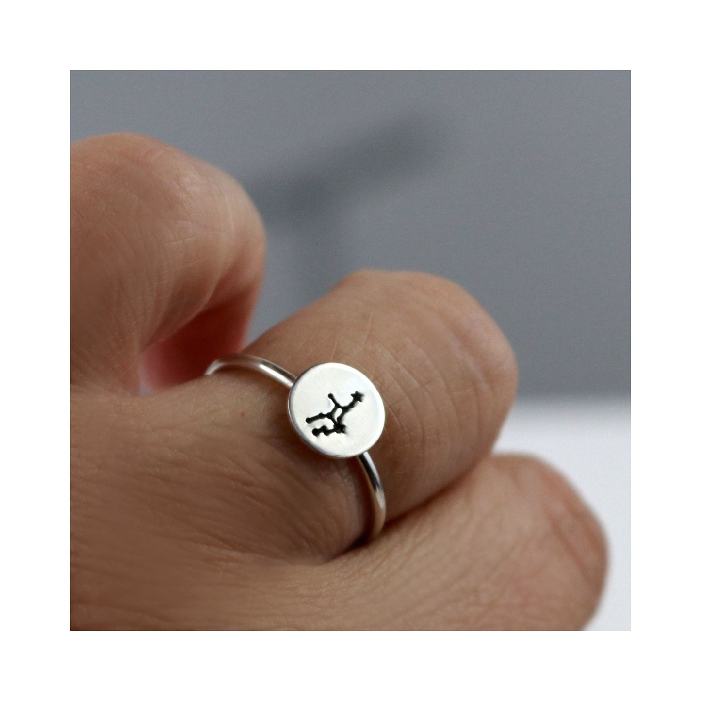 Zodiac Constellation Rings-Womens-LittleGreenRoomJewelry-LittleGreenRoomJewelry